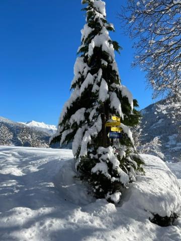 Traumapartment Murmeltier Tirol Grins ภายนอก รูปภาพ