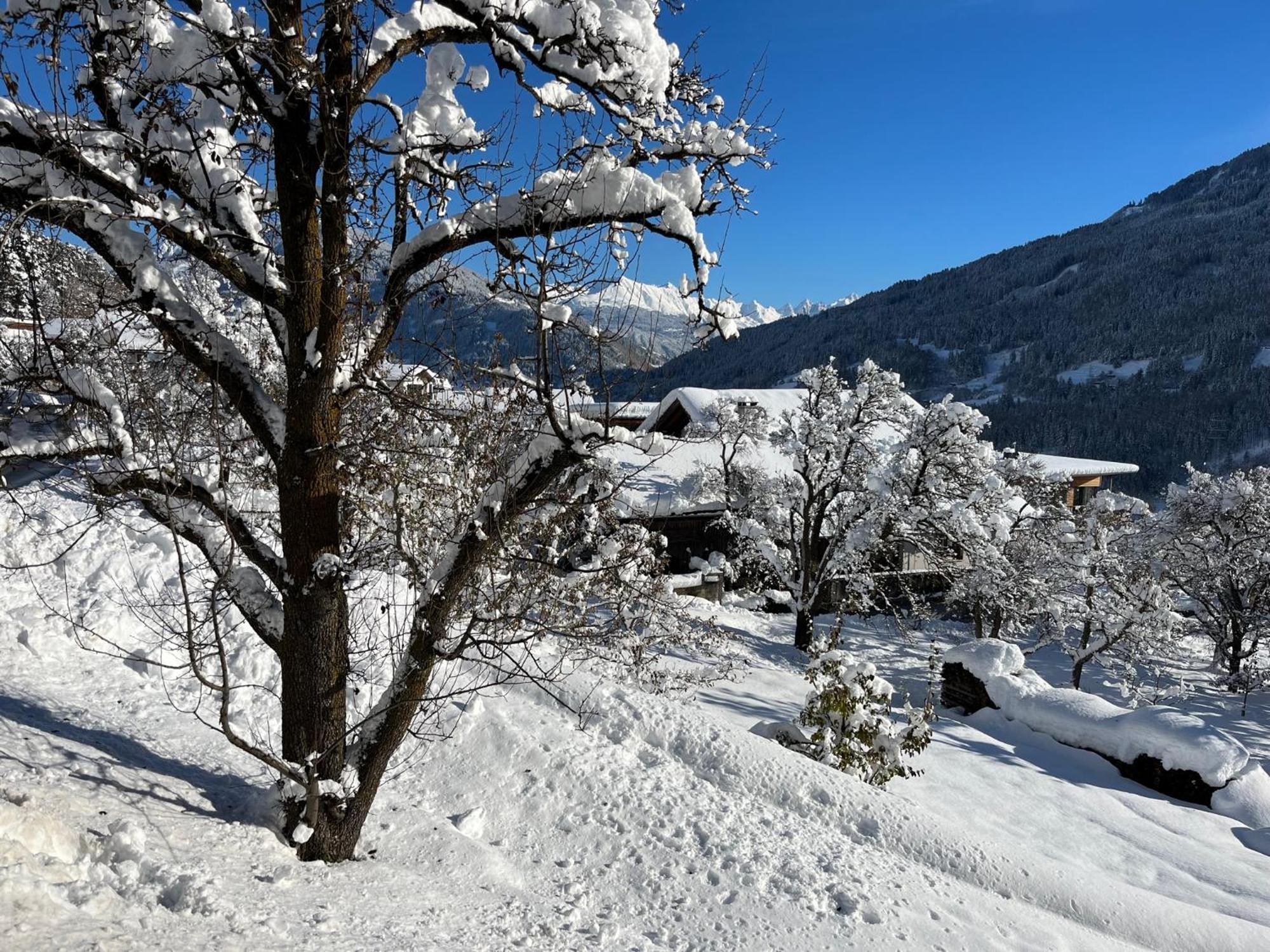 Traumapartment Murmeltier Tirol Grins ภายนอก รูปภาพ